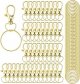 100PCS Keychain Hooks with Key Rings，Metal Swivel Lobster Claw Clasps, for Keychain Clip Lanyard, Jewelry Making, Crafts
